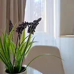 Tesa2 *